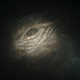 A mythosaur eye.